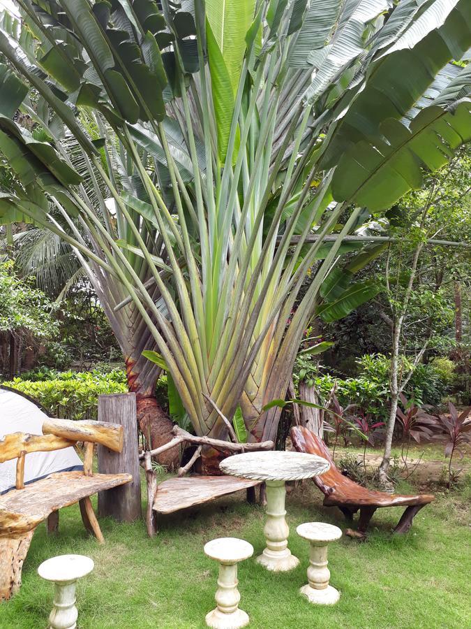 Dabdab Tourist Inn Sabang  Exterior photo