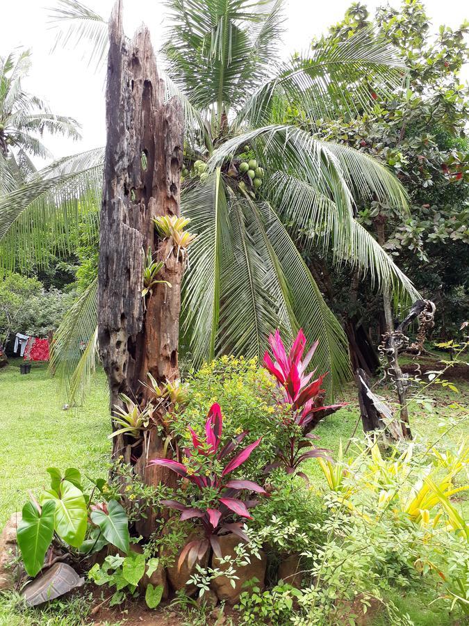 Dabdab Tourist Inn Sabang  Exterior photo